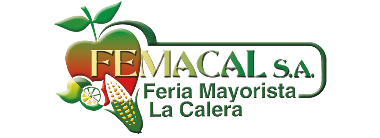FEMACAL S.A.